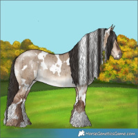 Horse Color:White Spotted Liver Red Dun Rabicano Brindle 