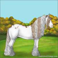 Horse Color:White Spotted Chestnut Splash Blanket