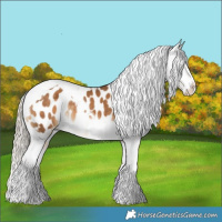 Horse Color:Chocolate Palomino Splash Tobiano Blanket Rabicano 