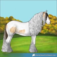 Horse Color:Buckskin Dun Splash Tobiano Brindle 