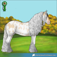 Horse Color:Amber Cream Champagne Dun Tobiano  and White Spotted Cremello Dun Appaloosa Brindle 