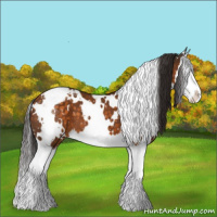 Horse Color:White Spotted Buckskin Splash Snowflake Varnish