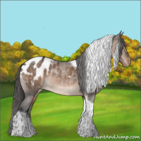 Horse Color:Brown Dun Tobiano Blanket