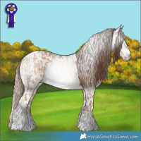 Horse Color:Gray White Spotted Chocolate Palomino Pearl Rabicano  and Brown Roan Pearl Dun Tobiano Rabicano 