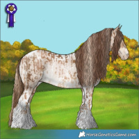 Horse Color:Gray White Spotted Chocolate Palomino Pearl Rabicano  and Brown Roan Pearl Dun Tobiano Rabicano 
