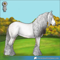 Horse Color:Gray Brown Splash Tobiano  and Buckskin Splash 