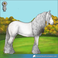 Horse Color:Gray Brown Splash Tobiano  and Buckskin Splash 