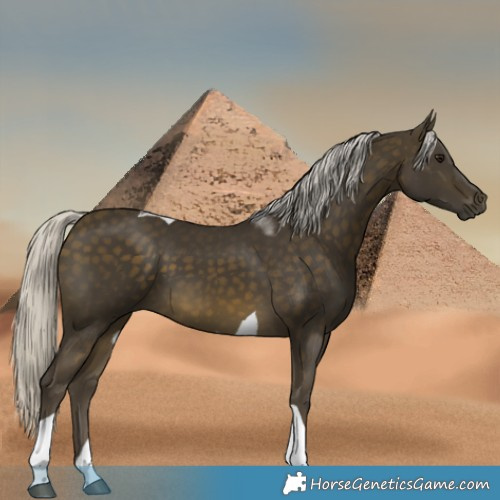 Horse Color:Silver Buckskin Tobiano 