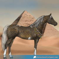 Horse Color:Silver Buckskin Tobiano 