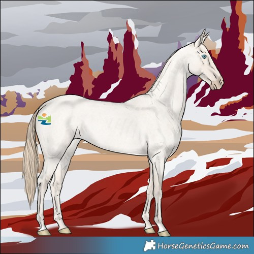 Horse Color:Smoky Creme Roan Dun 