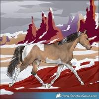 Horse Color:Bay Dun Tobiano 