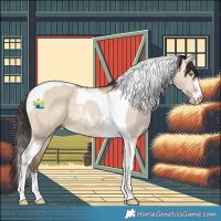 Horse Color:Amber Champagne Dun Tobiano 