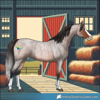 Horse Color:Bay Roan Splash 