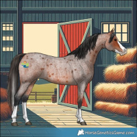 Horse Color:Bay Roan Splash 