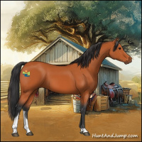 Horse Color:Bay Tobiano 