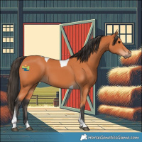 Horse Color:Bay Tobiano 