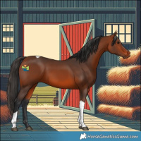 Horse Color:Bay Tobiano 