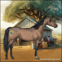 Horse Color:Brown Roan Dun 