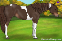 Horse Color:Liver Chestnut Tobiano 