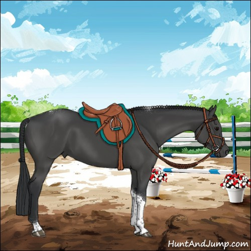 Horse Color:Black Tobiano 