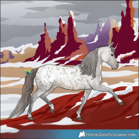 Horse Color:Brown Roan Dun Appaloosa 