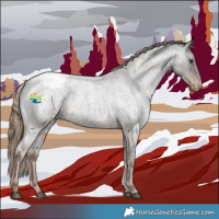 Horse Color:Liver Red Roan Appaloosa 