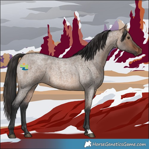 Horse Color:Bay Roan Dun 