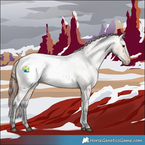 Horse Color:Bay Roan Dun Appaloosa 
