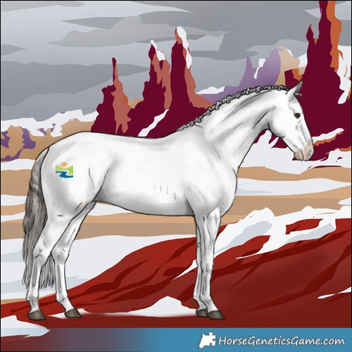 Horse Color:Liver Red Dun Roan Appaloosa 