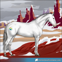 Horse Color:Liver Red Roan Appaloosa 