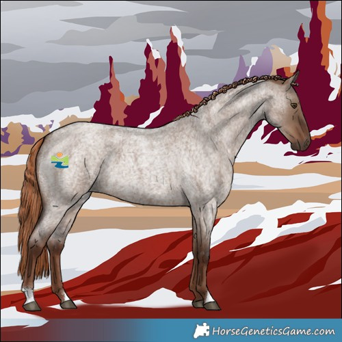 Horse Color:Liver Red Dun Roan 