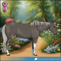 Horse Color:Silver Black Tobiano 