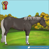 Horse Color:Silver Black Tobiano 