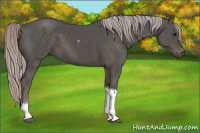 Horse Color:Silver Black Tobiano 