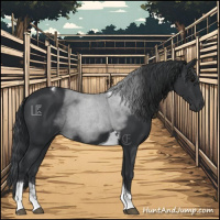 Horse Color:Black Tobiano 