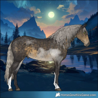 Horse Color:Silver Smoky Black Tobiano 