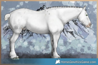 Horse Color:White Spotted Silver Smoky Grullo Sabino Appaloosa Brindle 