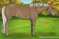 Horse Color:Silver Smoky Black 