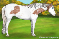 Horse Color:Silver Bay Ice Splash Tobiano Varnish Rabicano 