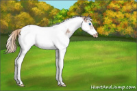 Horse Color:Red Ice Roan Splash Tobiano Frame Varnish Rabicano 
