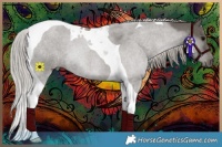 Horse Color:Silver Black Tobiano