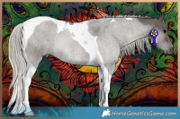 Horse Color:Silver Black Tobiano 