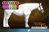 Horse Color:Brown Roan Sabino Snowcap