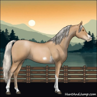 Horse Color:Silver Blue Roan Pearl Tobiano Frame 