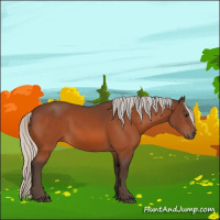 Horse Color:Silver Bay 