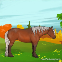 Horse Color:Silver Bay