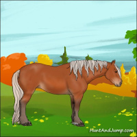 Horse Color:Silver Bay 
