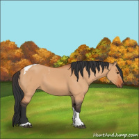 Horse Color:Bay Dun Tobiano 