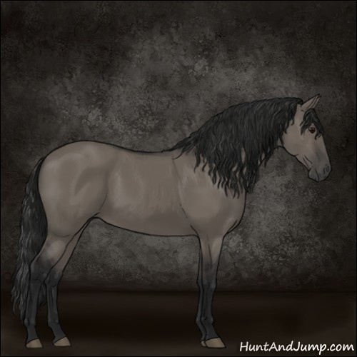 Horse Color:Gray Grullo 