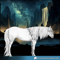 Horse Color:Gray Classic Champagne Dun Rabicano 